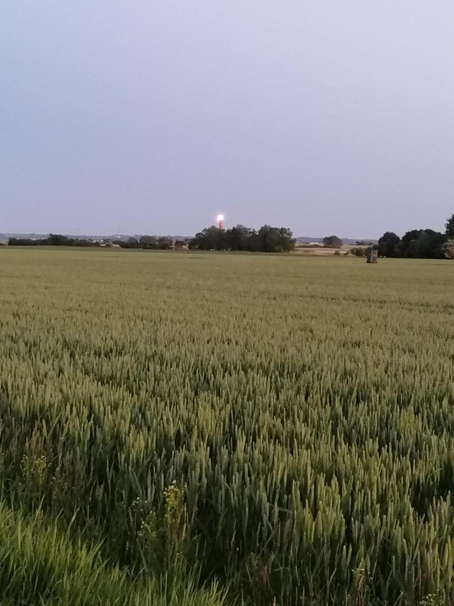 Vakantiehuis Kleiner Leuchtturm - Steuerbord Kopendorf - Mit Garten Und Terrasse Fehmarn